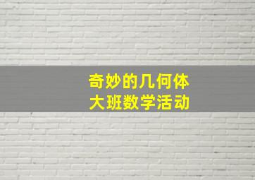 奇妙的几何体 大班数学活动